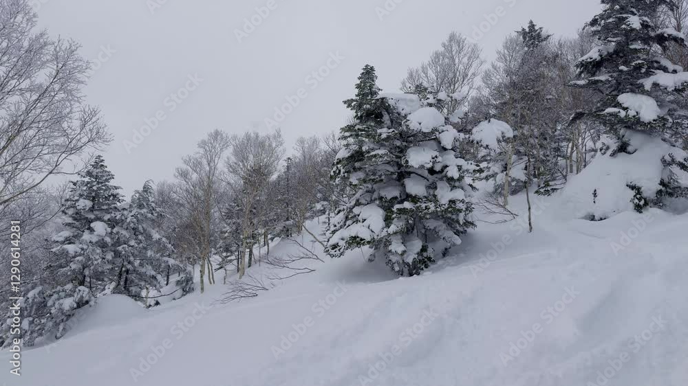 Fresh Powder on Nagano Slopes - A quiet winter mountain landscape with deep fresh snow covering trees in Nagano, ideal for nature and adventure lovers Fresh Powder on Nagano Slopes - A quiet winter mountain landscape with deep fresh snow covering trees in Nagano, ideal for nature and adventure lovers