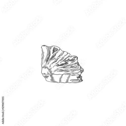 Fresh pineapple slice engraved hand drawn vector, tropical fruit, sweet ananas piece sketch, exotic natural food snack