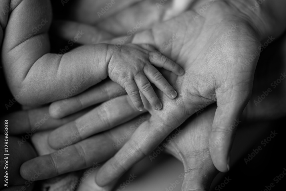 Manos de una familia con su recién nacido comparando el tamaño y el contacto de la piel Manos de una familia con su recién nacido comparando el tamaño y el contacto de la piel