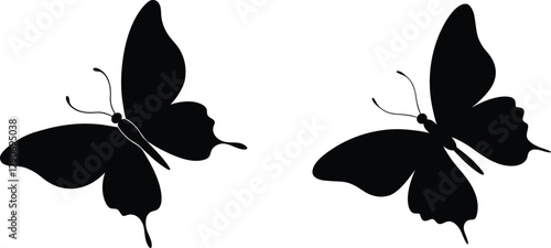 Goliath Birdwing butterfly  silhouette vector set.