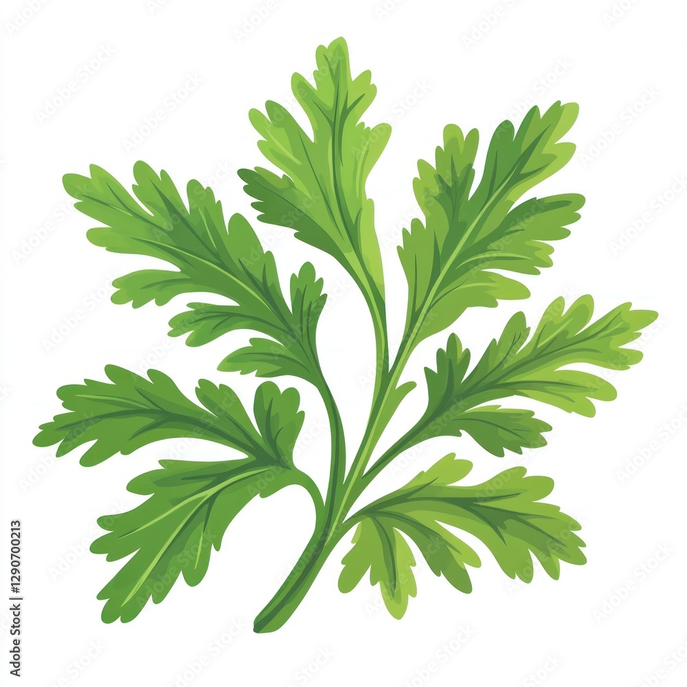 Naklejka premium Fresh Parsley Sprig Isolated (1)