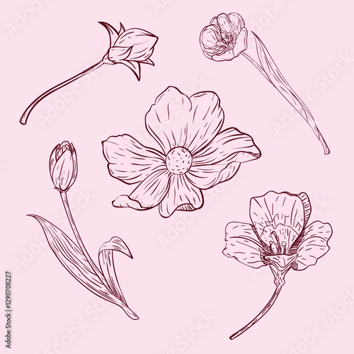 Flower Simple Sketches Collection