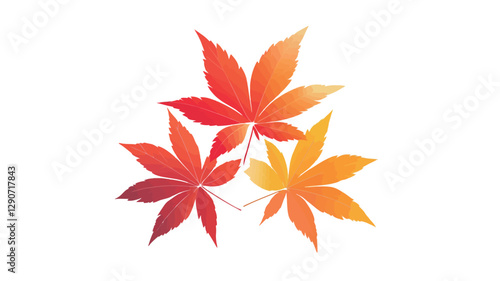 A digital illustration depicting three stylized maple leaves arranged in a triangular formation against a pure white background.  The leaves exhibit a gradient of colors, transitioning from