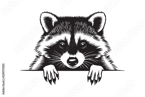 Peeking Raccoon Illustration in Black and White vector