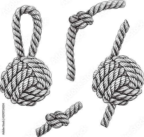 Set of knotted ropes cords monkey fist knot, eight knots vector. Nautical thread whipcord with loops and noose. Rope cord Twisted. Illustration hand drawn graphic isolated background. Braided, folded