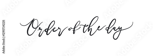 Order Of The Day card. Hand drawn quote. Modern brush calligraphy. Isolated on white background