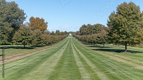 Autumnal estate garden path leading to a building photo