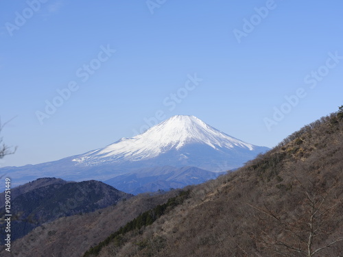 富士山