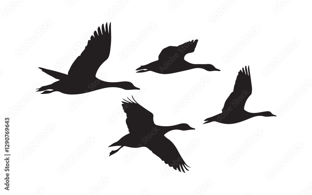 Fototapeta premium silhouette of a seagull