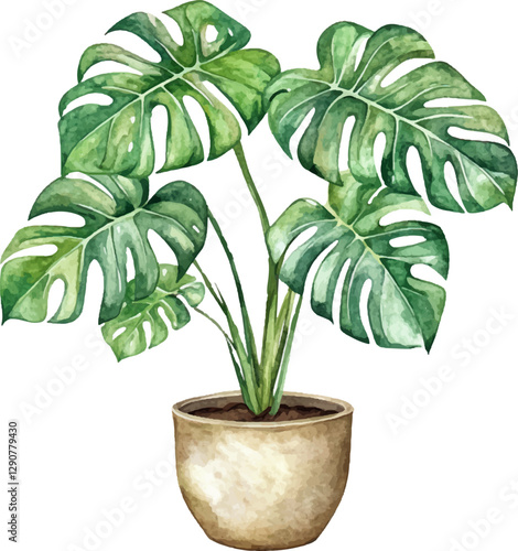 Watercolor illustration of indoor monstera plant in a pot, white background