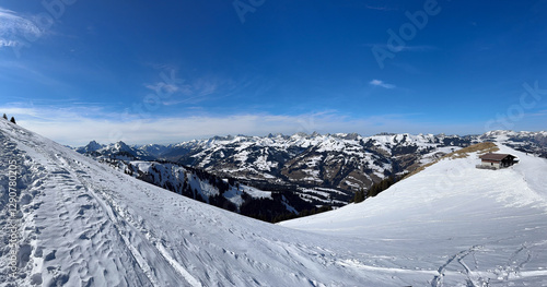 View of the Bernese Alps from the top of the Rinderberg, Zweisimmen