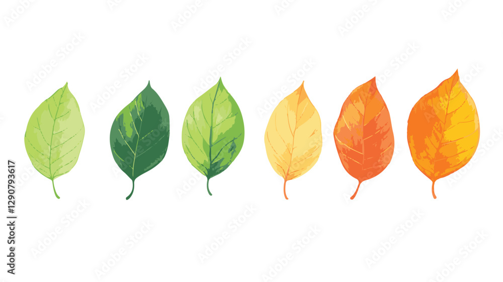 Obraz premium Colorful Floral Pattern with Abstract Flowers and Set of Autumn Leaves on White Background Art & Illustration