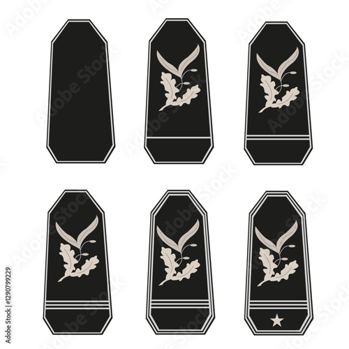 Galon de l'armée de terre française: Surveillant pénitentiaire -  Directeurs  Services Pénitentiaires: Elève directeur, directeur stagiaire, hors classe, de classe normale,  fonctionnel, interrégional
