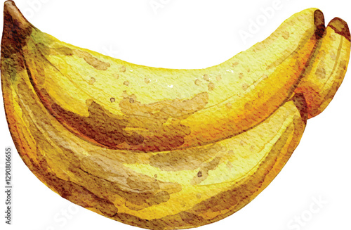 Ripe banana rotten hand drawn watercolor vector illustration