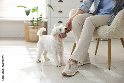 Photography Owner giving toy to cute dog at home, closeup with space for text