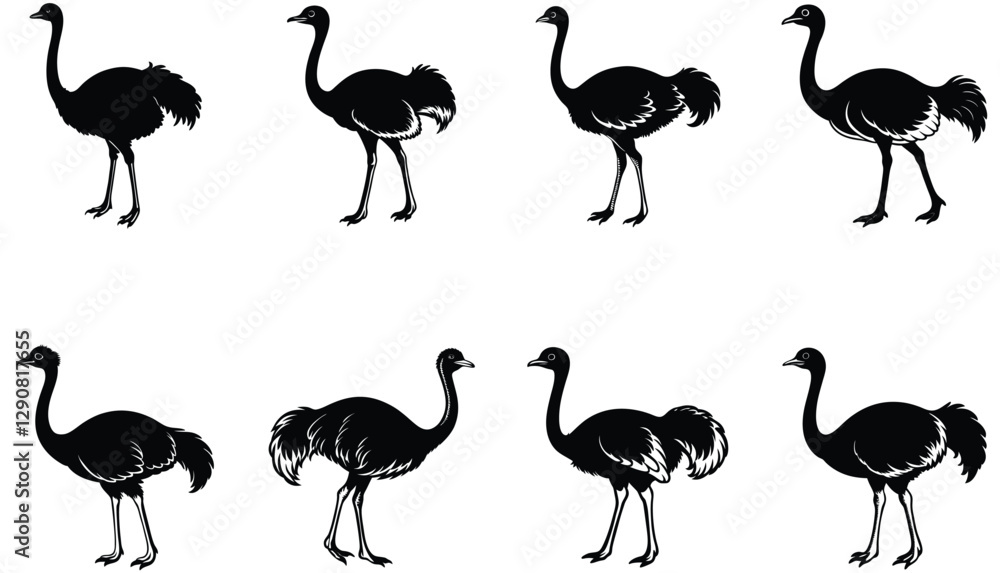 Fototapeta premium Ostrich vector shilhouette bundle. Ostrich set
