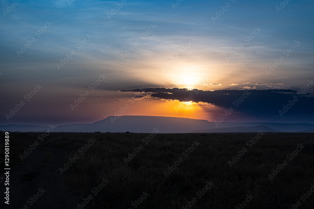 Fototapeta premium view of the Serengeti National Park
