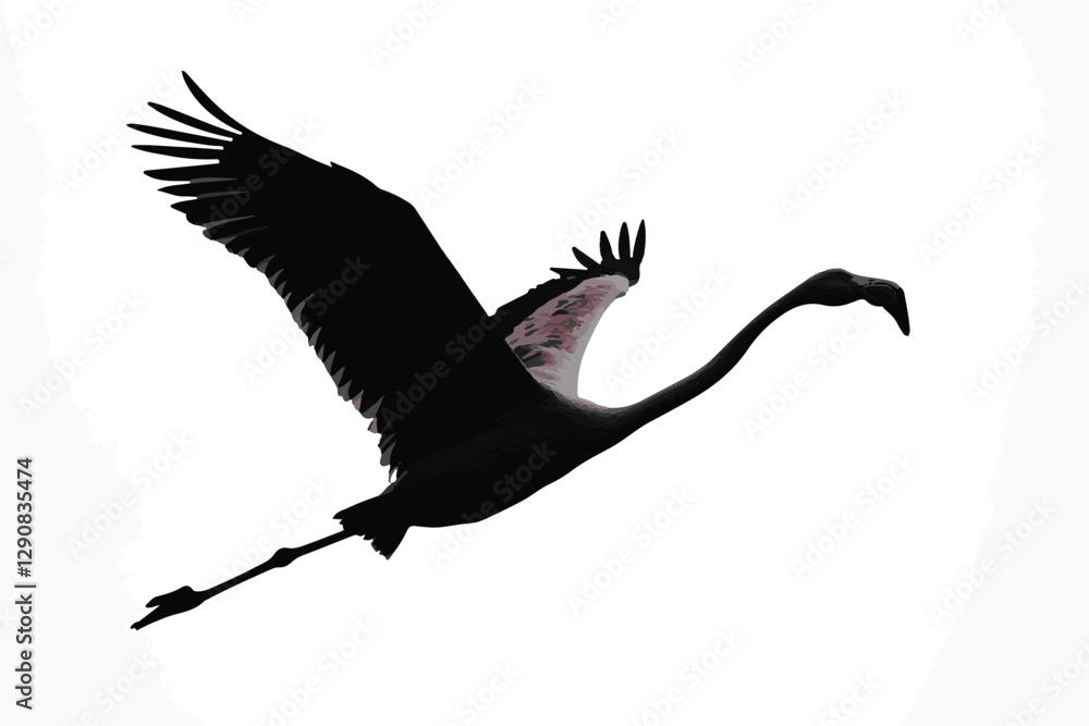 Fototapeta premium flamingo vector design, awesome flamingo ,high resolution printable flamingo artwork and Flamingo silhouette vector illustration Flamingo silhouette vector Silhouette Art & Illustration