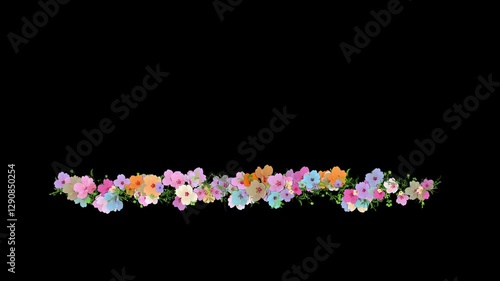 Colorful summer flowers growing floral line, rustic ornament, botanical frame, lower thirds animation isolated on black background with alpha matte.