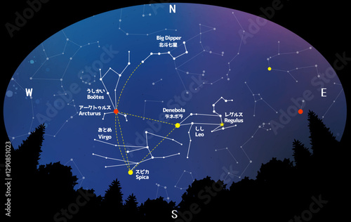 森から見える春の星座と大三角形