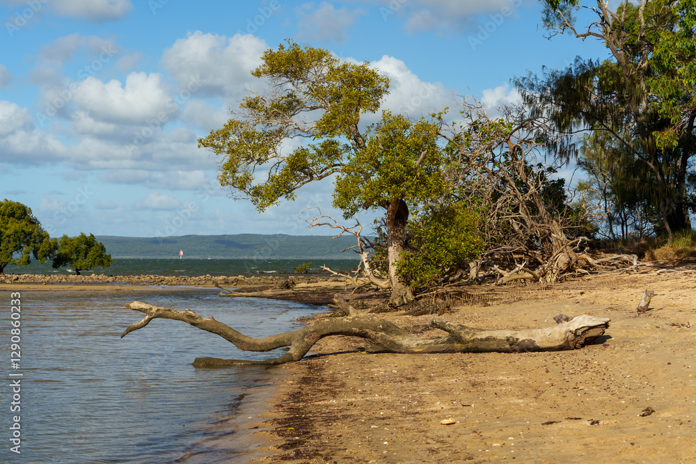 Log on the beach at low tide. Stradbroke Island on the horizon. Morwong Beach, Coochiemudlo Island, Queensland, Australia Log on the beach at low tide. Stradbroke Island on the horizon. Morwong Beach, Coochiemudlo Island, Queensland, Australia