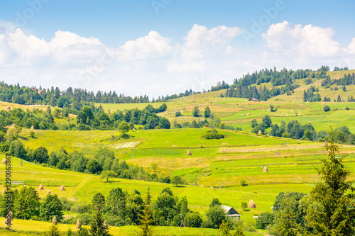 Obraz na płótnie mountainous rural landscape on a sunny day. picturesque highland. countryside scenery with lush trees, grassy fields, haystack and arable on the slope of a hill. scenic fluffy clouds on the sky w salonie