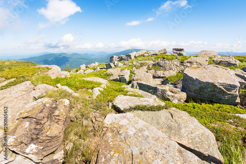 Obraz na płótnie carpathian mountain range landscape in summer. idyllic alpine scenery with huge white sharp stones among the grassy meadow near hillside in morning light. stunning view in to the distant open vista w salonie