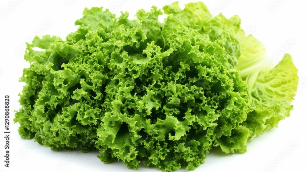 Lechuga Iceberg. Fresh Lettuce Salad, Isolated on White Background Lechuga Iceberg. Fresh Lettuce Salad, Isolated on White Background