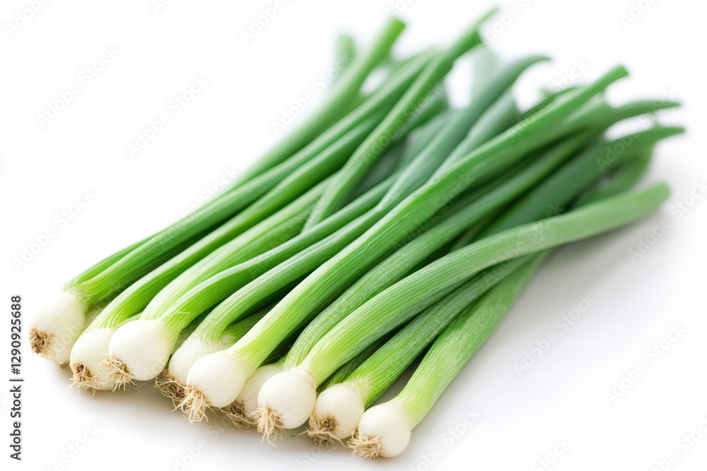 Freshly Harvested Garden Vegetables Freshly Harvested Garden Vegetables