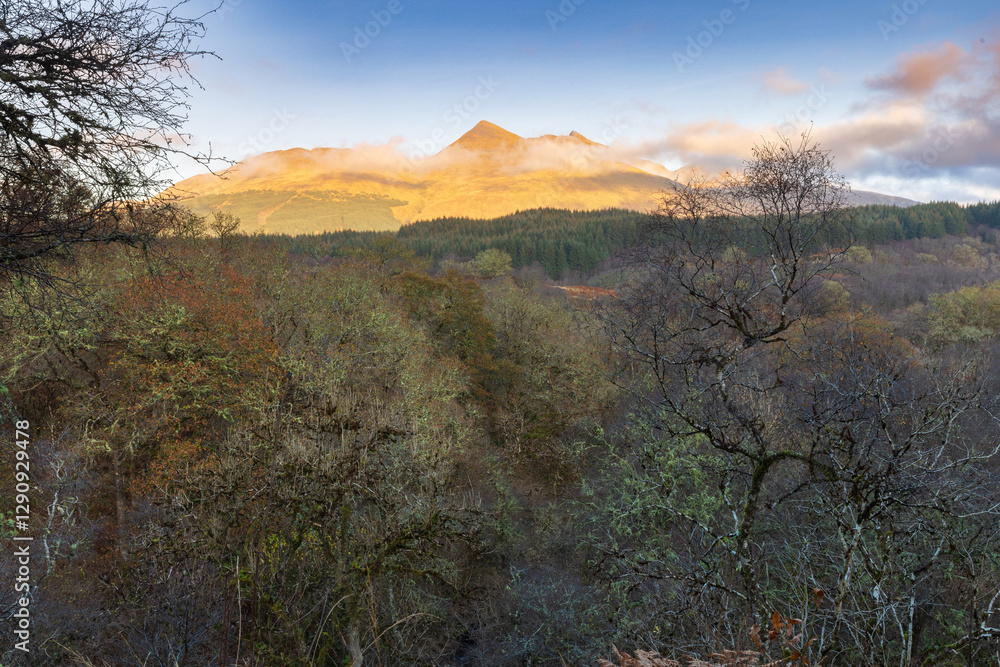 Ben Cruachan towering over Glen Nant forest, Argyll and Bute, Scotland, UK. Ben Cruachan towering over Glen Nant forest, Argyll and Bute, Scotland, UK.