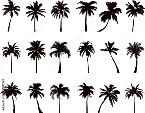 palm tree silhouette collection on white background, vector