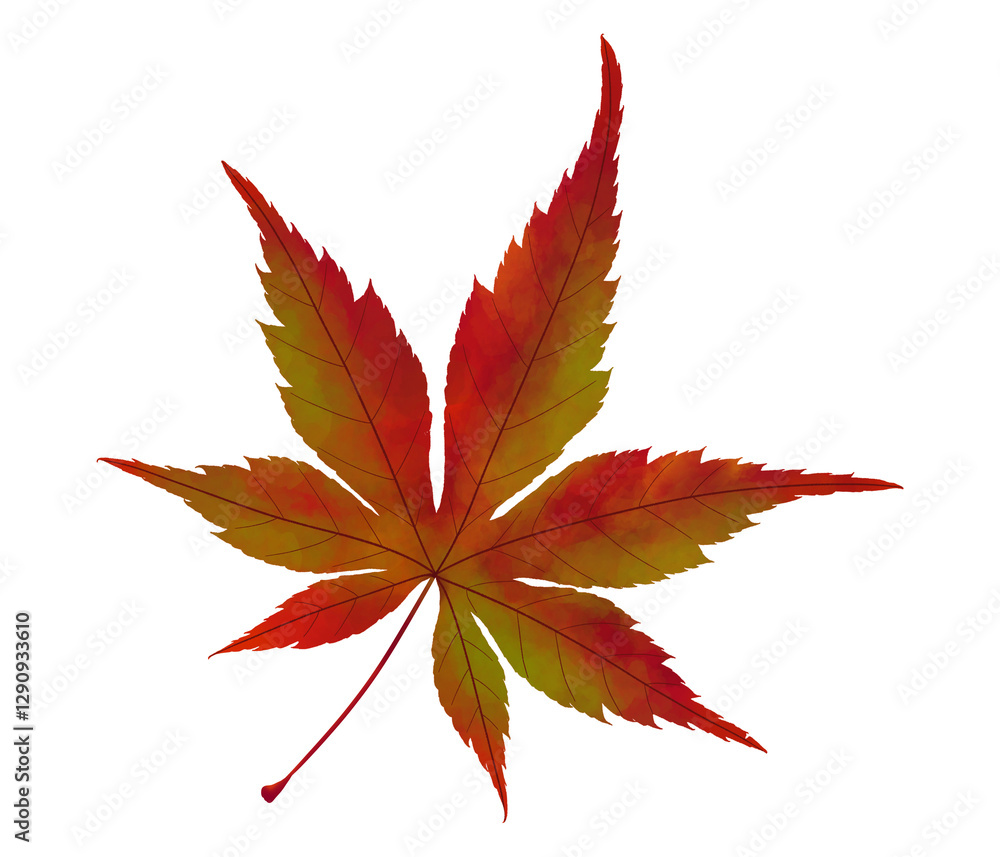 Beautiful Maple Leaf Illustration Painting in Artistic Style Beautiful Maple Leaf Illustration Painting in Artistic Style