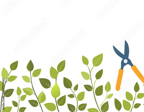 Pruning plant with pruning shears on white background, copy space, home garden theme
