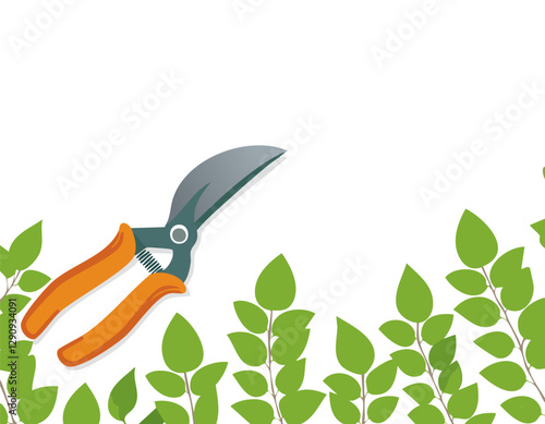 Pruning plant with pruning shears on white background, copy space, home garden theme