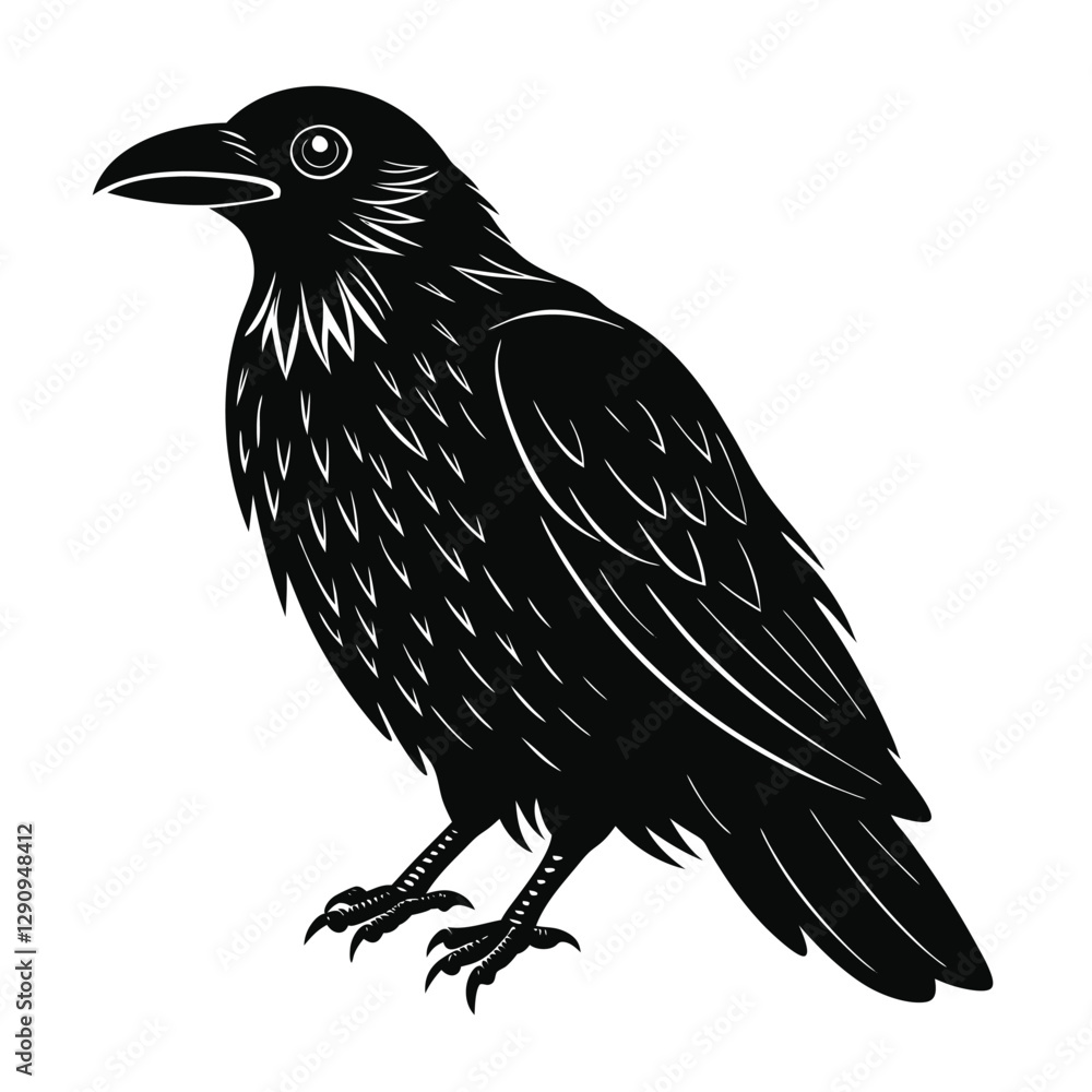 Fototapeta premium Raven Vector Illustration 