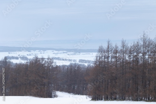 Wallpaper Mural 冬の北海道の景色 Torontodigital.ca