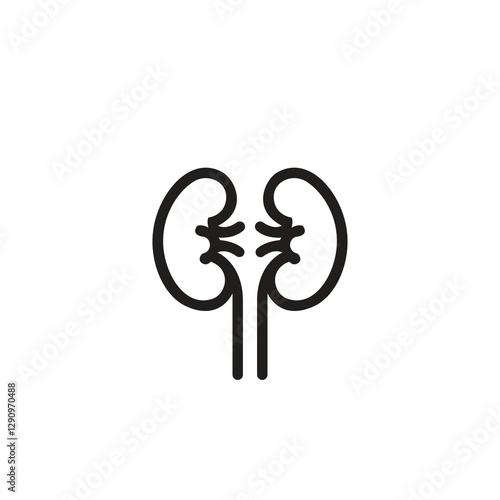 Kidney vector logo template