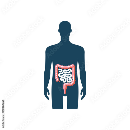Human small and large intestine logo template
