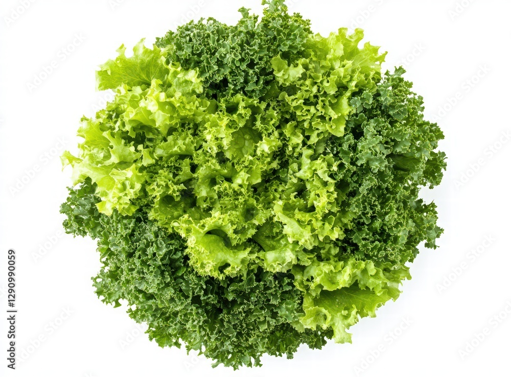 A plate of mixed green salad on a white background. The leaves include watercress and chard with vibrant green colors. A plate of mixed green salad on a white background. The leaves include watercress and chard with vibrant green colors.