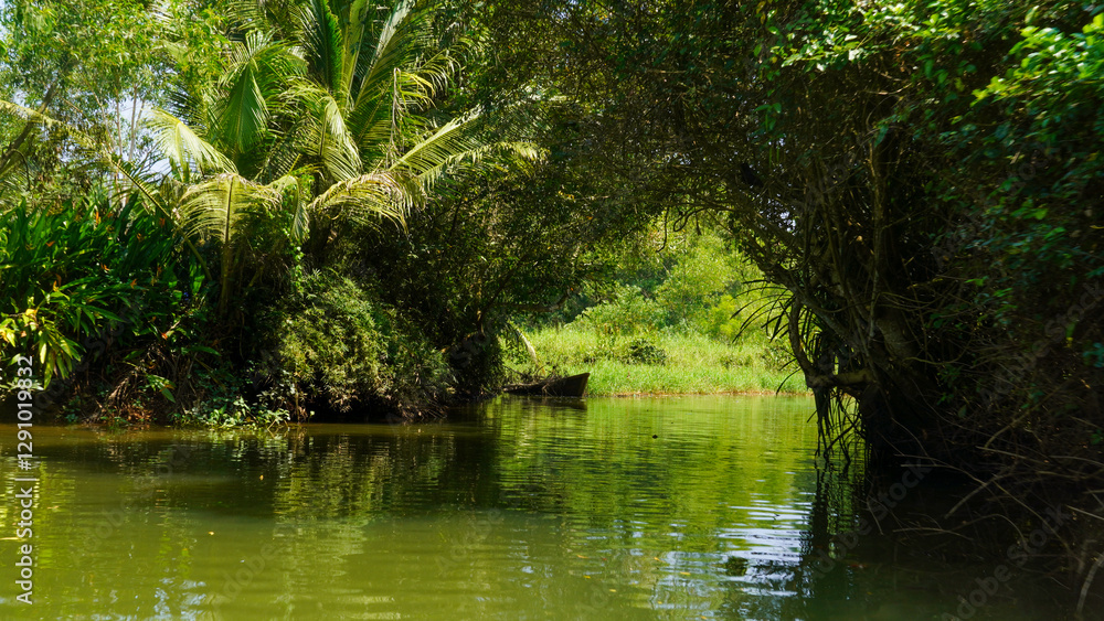 dense tropical forest with lush green foliage and tall trees reflecting sunlight dense tropical forest with lush green foliage and tall trees reflecting sunlight
