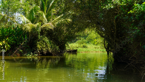 dense tropical forest with lush green foliage and tall trees reflecting sunlight