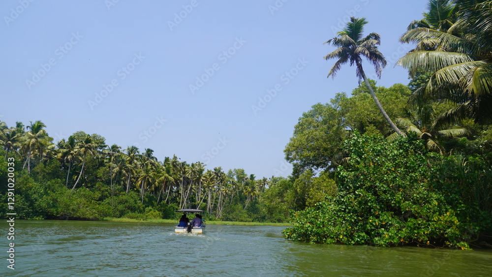 people boating on river in poovar island people boating on river in poovar island