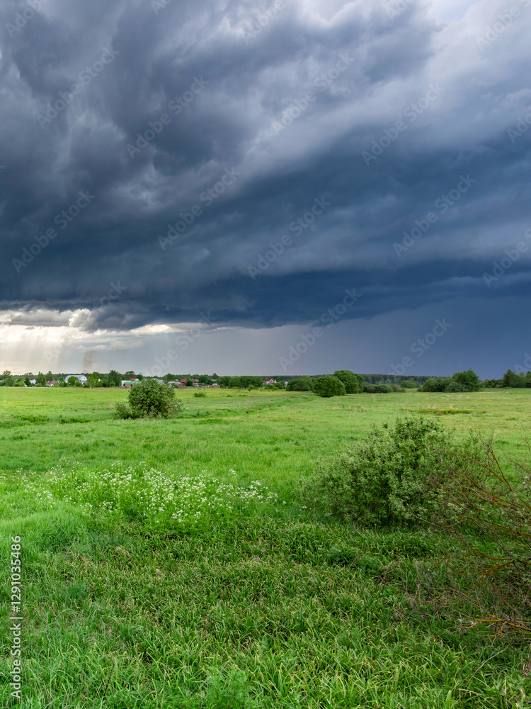 Field of grass with a storm in the distance Field of grass with a storm in the distance