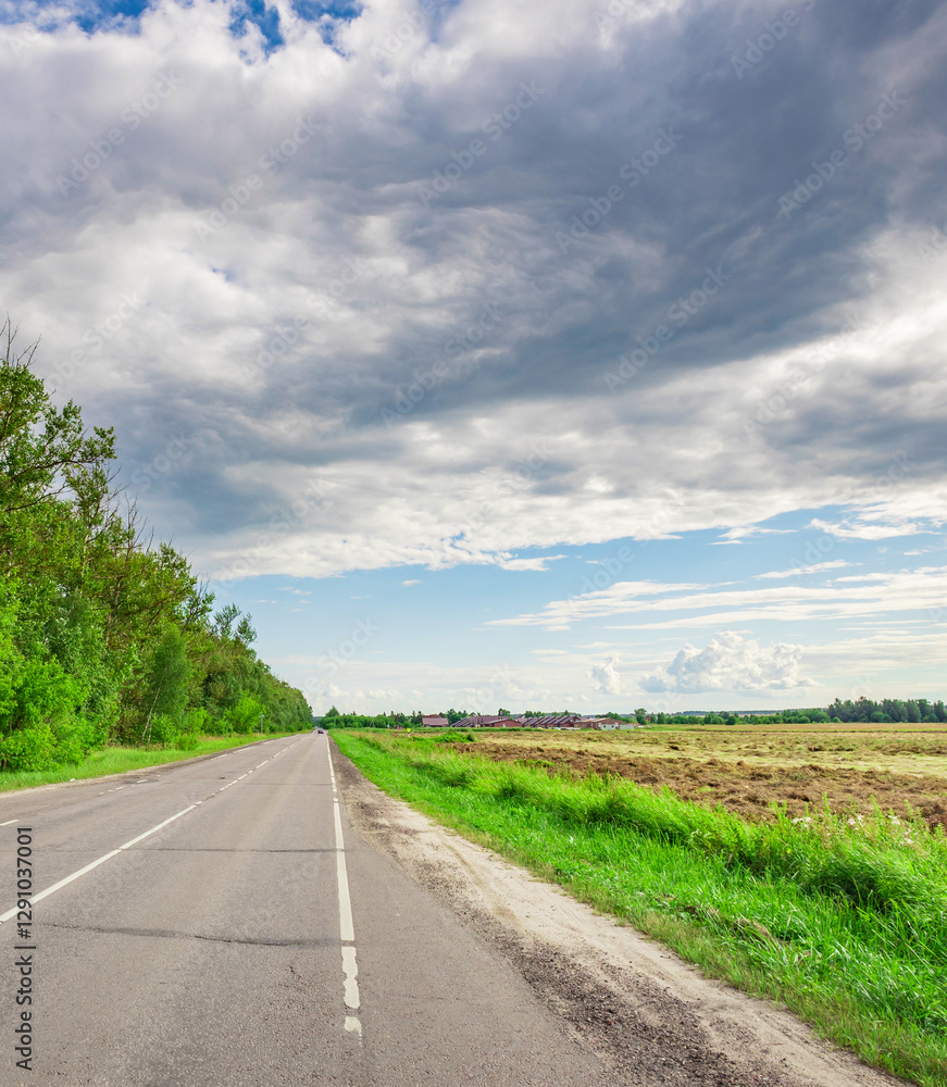Road with a few trees on the side and a cloudy sky