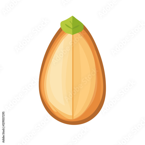 Minimalist flat illustration of an Almond, featuring a clean design isolated on a white background.

