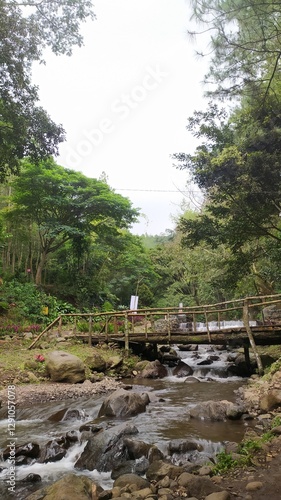 man and woman in the forest
