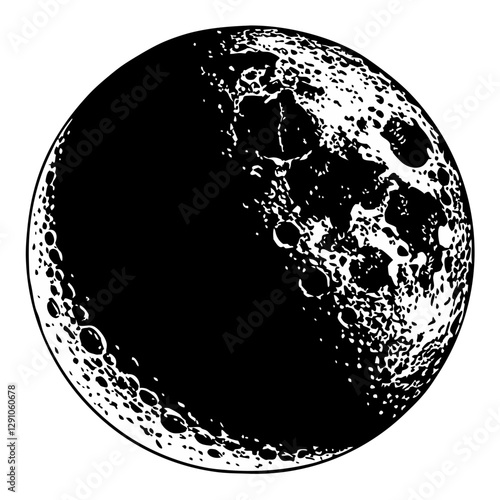 Full Moon Vector