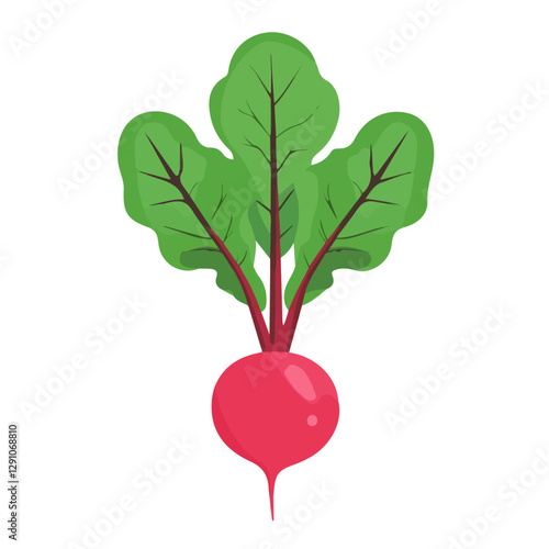 Minimalist flat illustration of Radish, featuring a clean design isolated on a white background.

