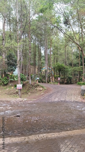 road in the park