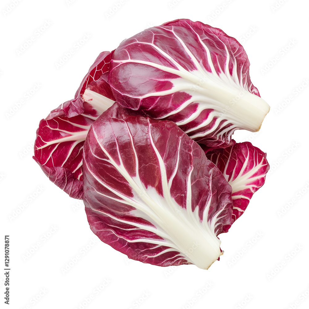 Fresh radicchio red salad leaves isolated on a clean transparent background for healthy eating and cooking ideas, Radicchio red salad isolated on transparent background Fresh radicchio red salad leaves isolated on a clean transparent background for healthy eating and cooking ideas, Radicchio red salad isolated on transparent background